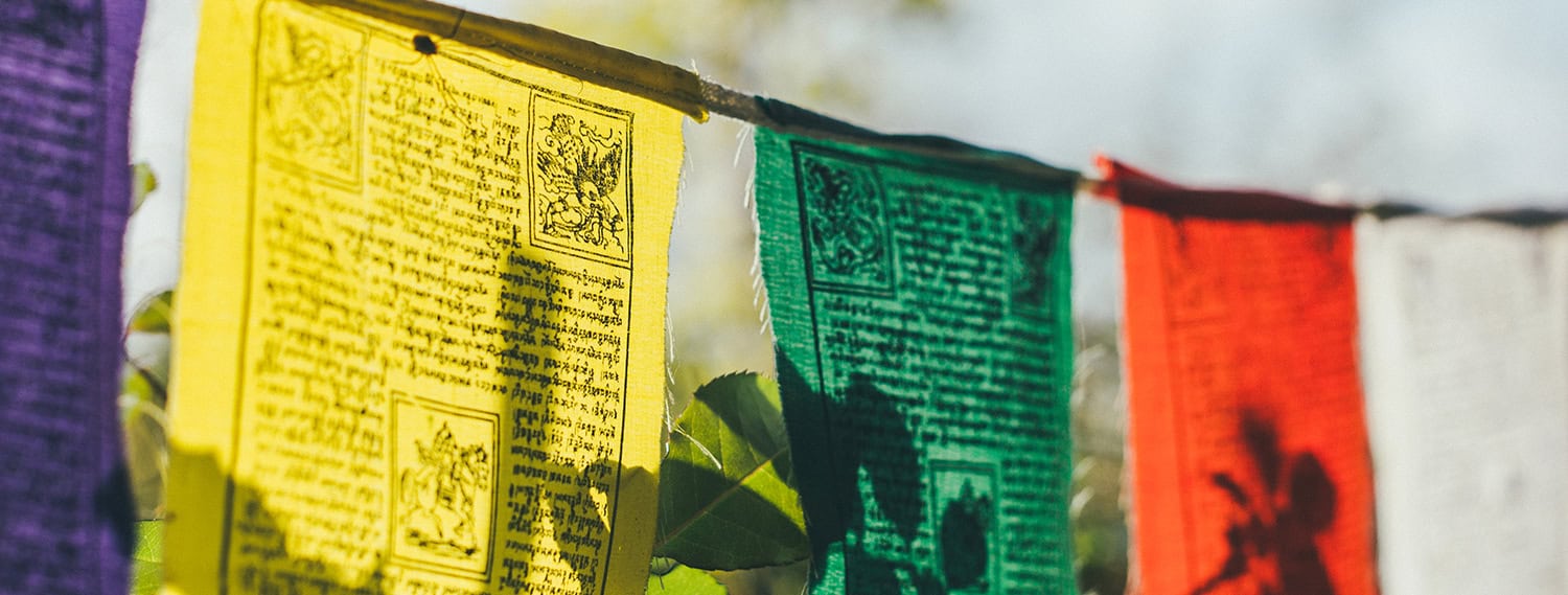 Banner-Erfahrungsbericht-Ehepaar-Söffner